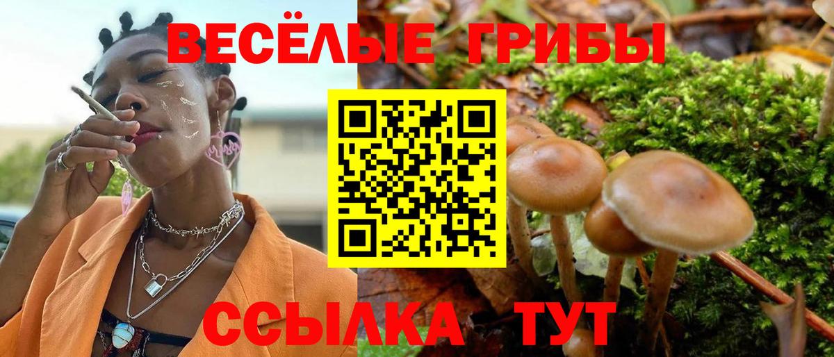 Псилоцибиновые грибы Magic Shrooms Шелехов